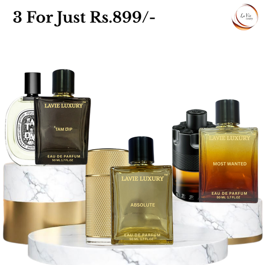 Tam Dip || Absolute || Most Wanted