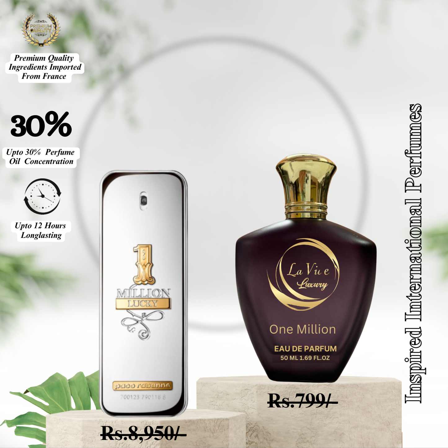 Most Wanted || Absolute || Tam Dip || One Million || Viking